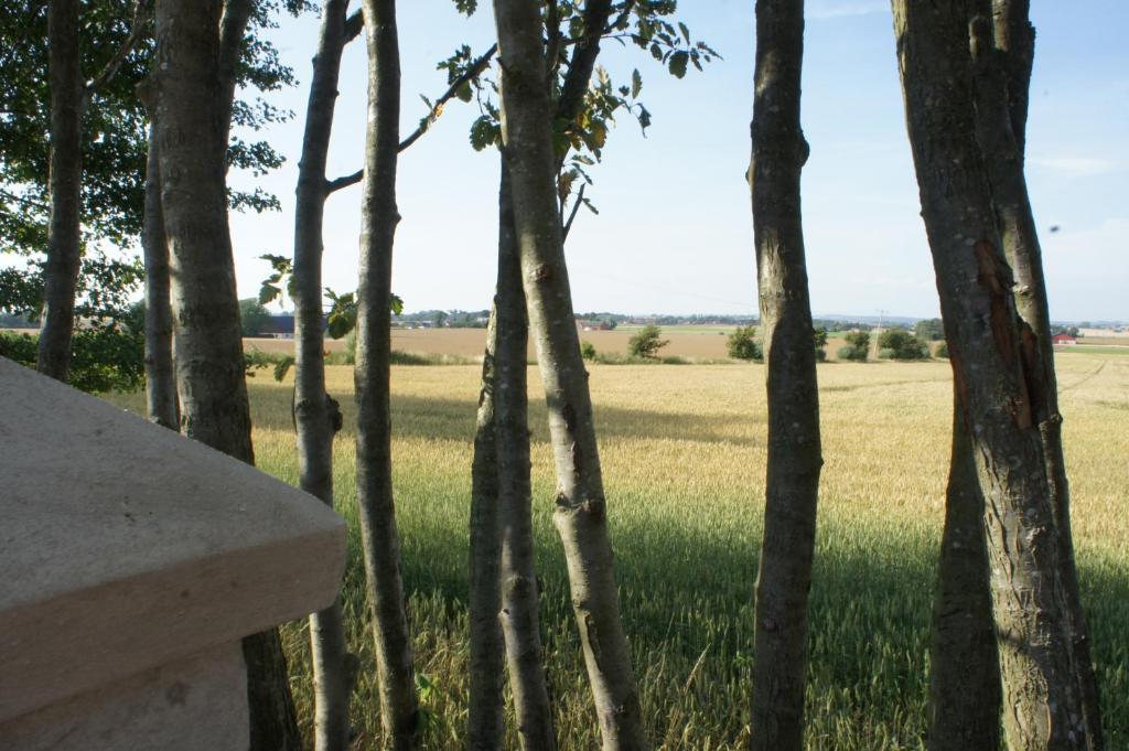 Hotell Vagabond Abbekås Zewnętrze zdjęcie